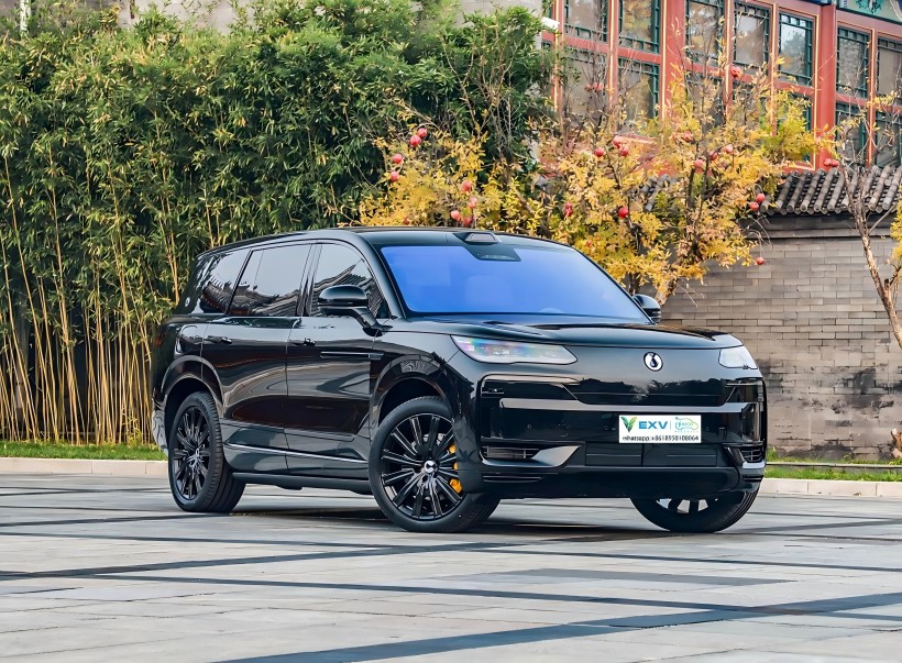 Der Allround-Flaggschiff SUV, der Denza N9, soll am 21. März starten.